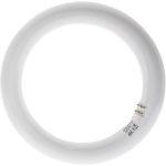 Λάμπα LED T9 Κυκλική 24W G10Q 6500K 2500lm